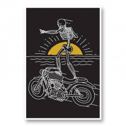 Freedom Rider