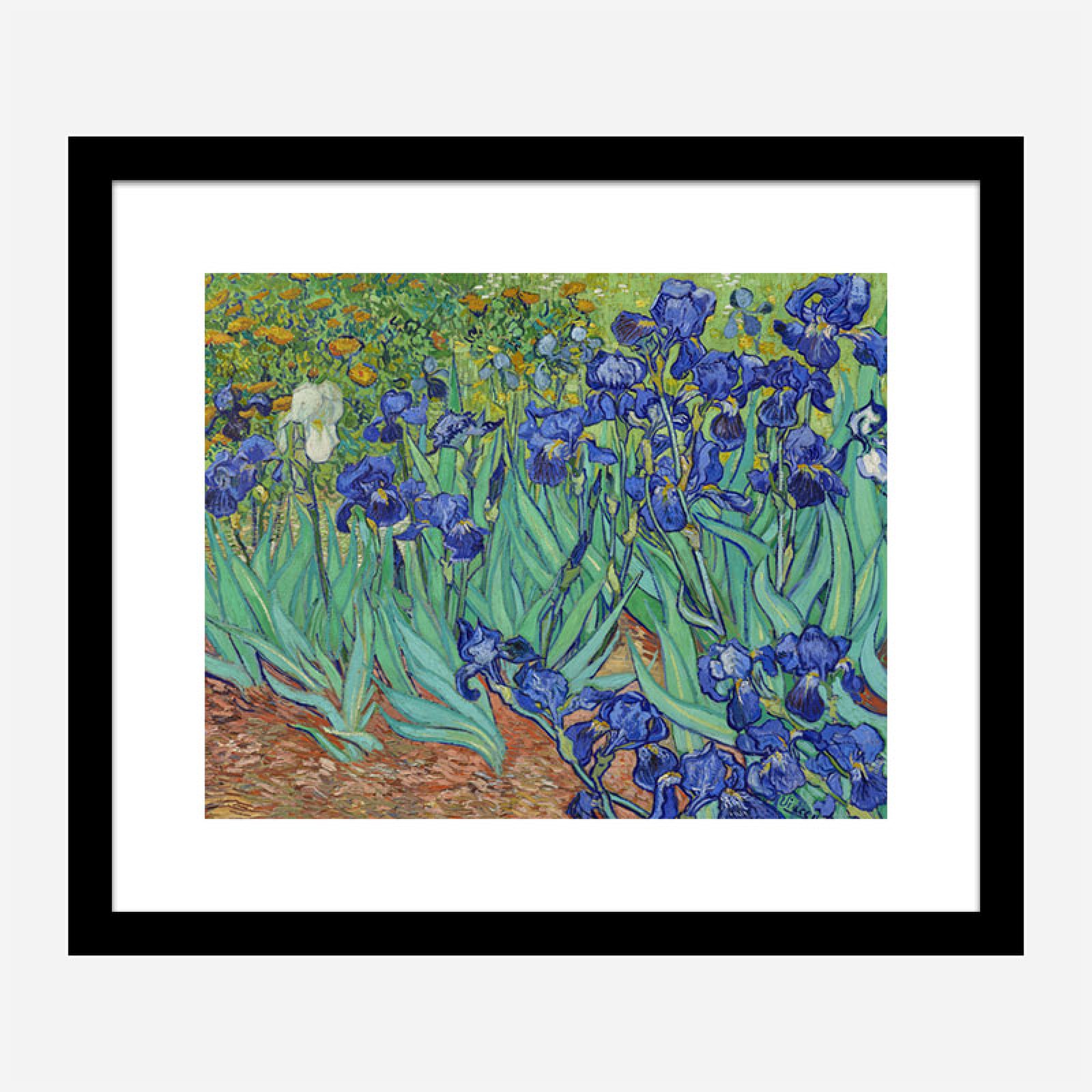 Irises 1889 by Vincent Van Gogh Art Print