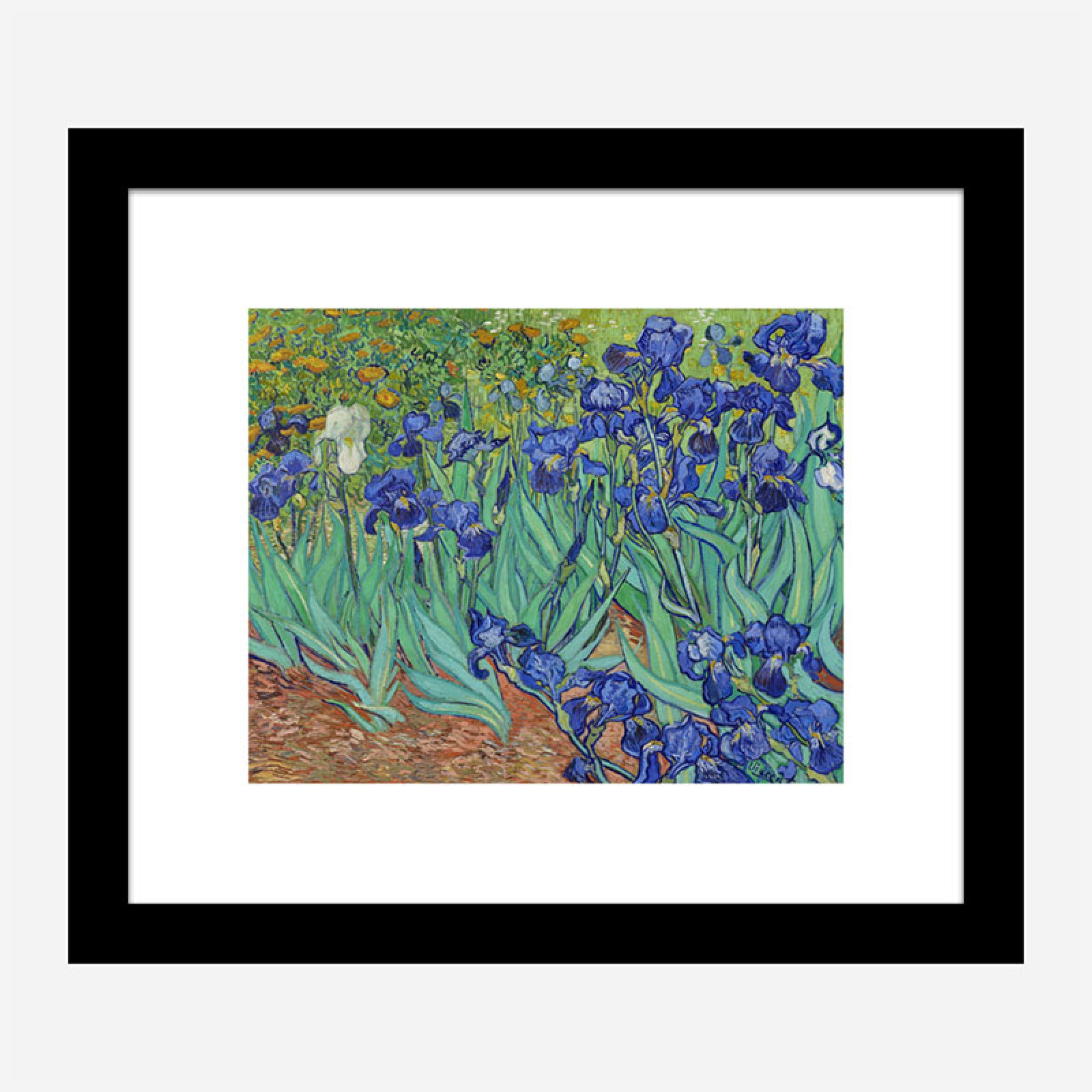 Irises 1889 by Vincent Van Gogh Art Print