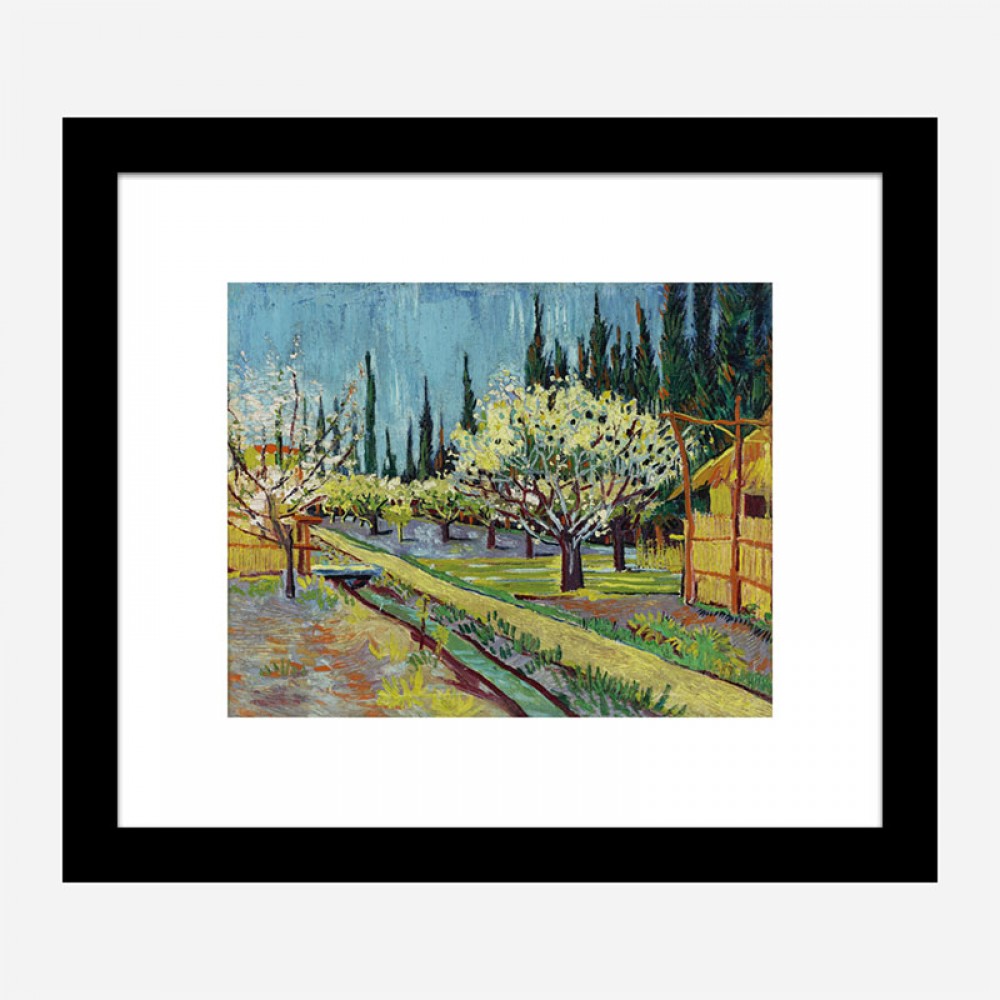 Orchard Bordered By Cypresses By Vincent Van Gogh Art Print