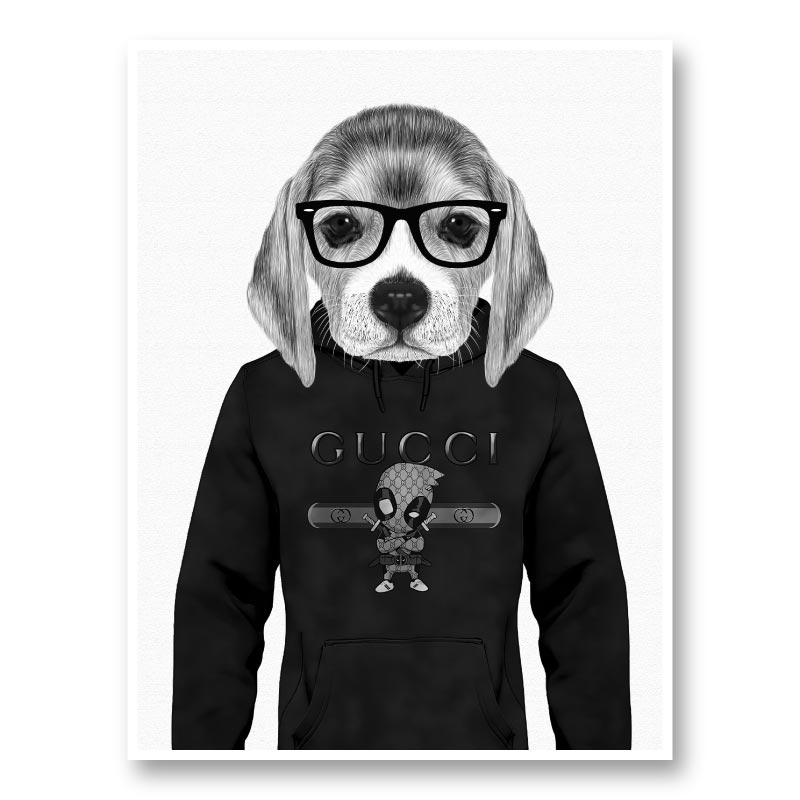 Gucci hoodie clearance dog